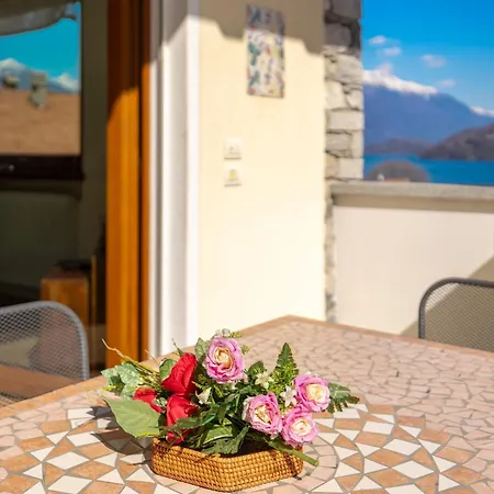 Magnolia A アパート