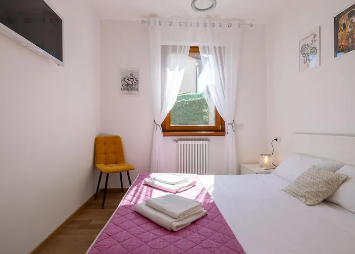 Magnolia A * ムッソ